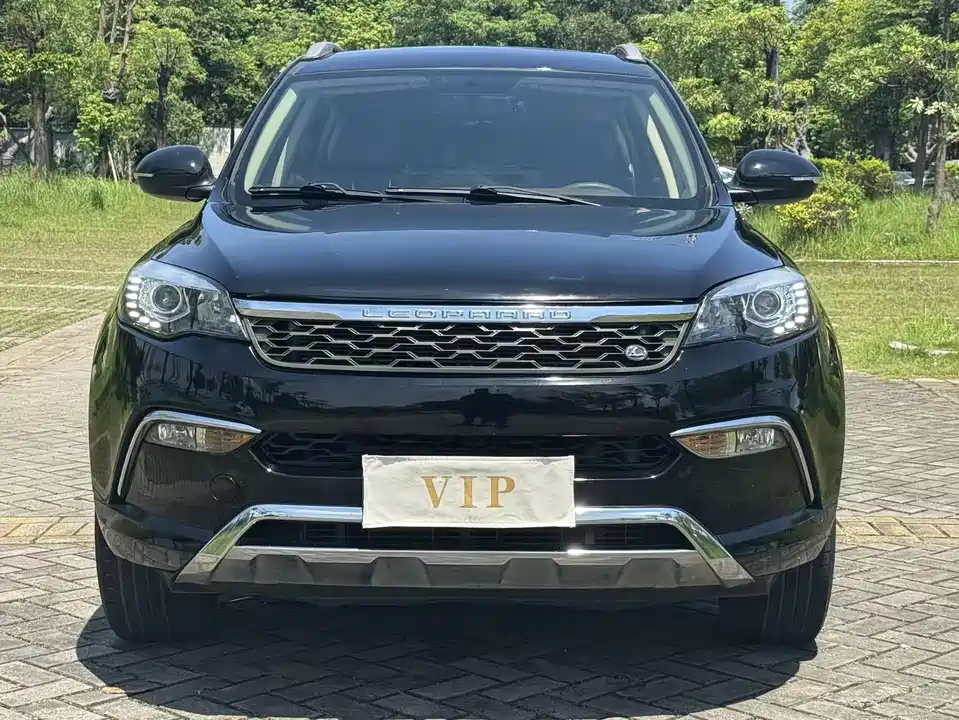 Leopaard Cheetah CS10