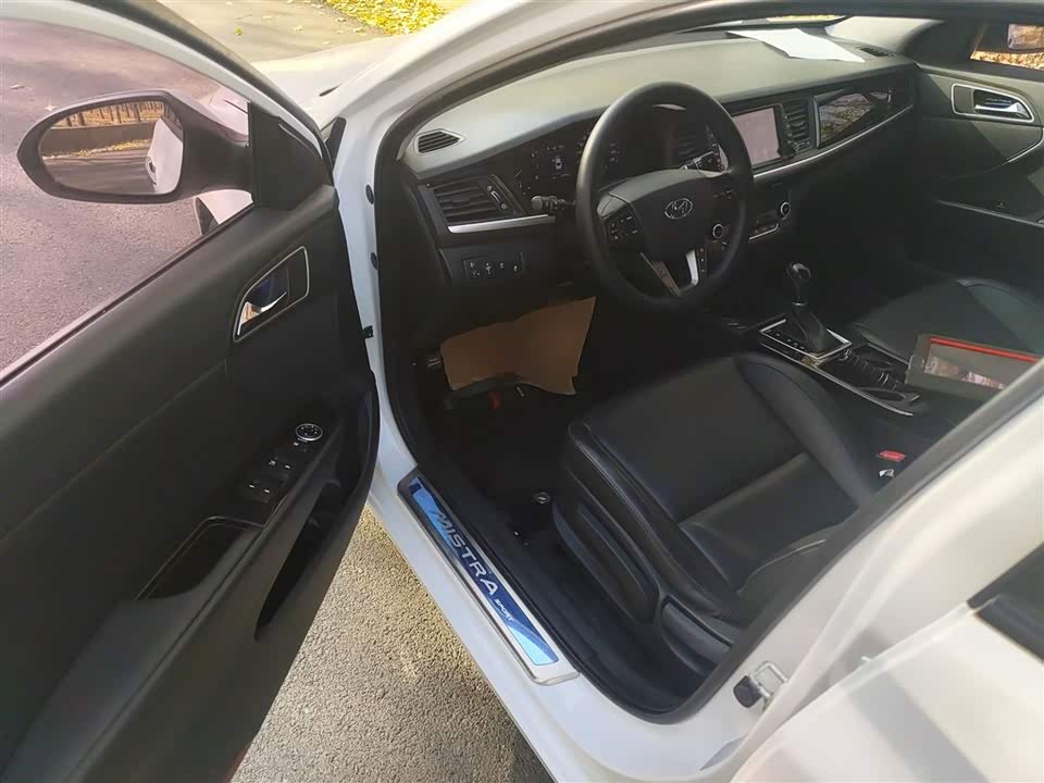 Hyundai Name picture