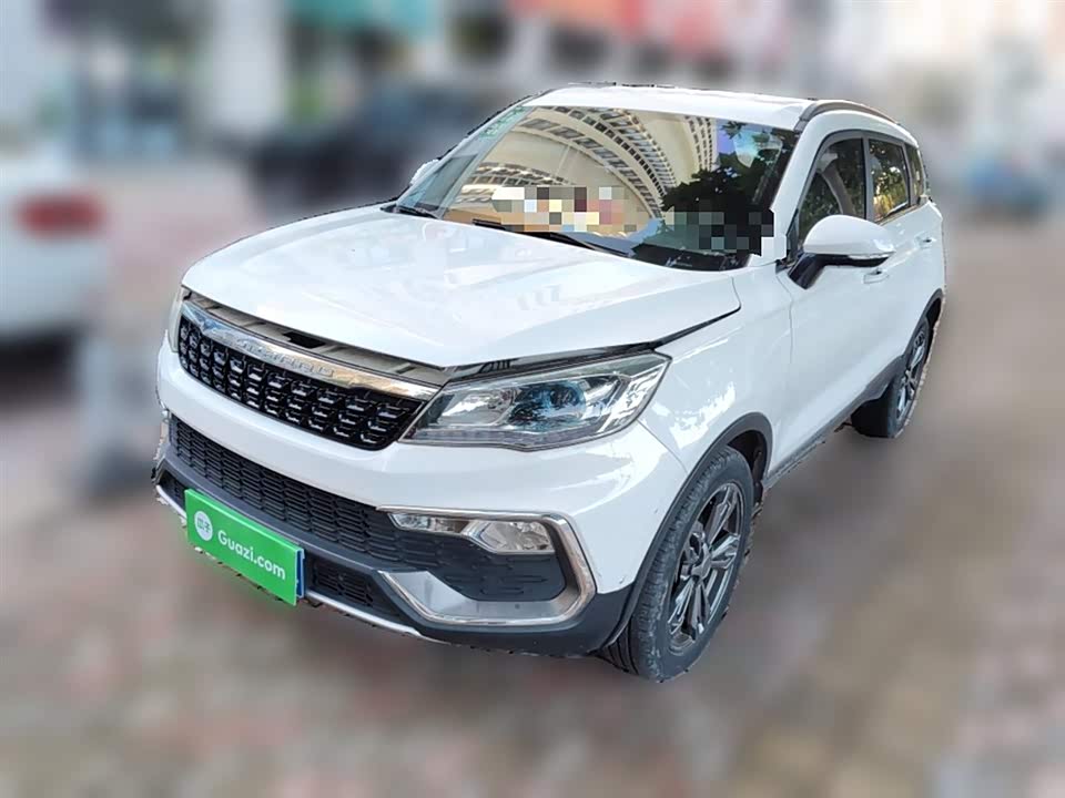 Leopaard Cheetah CS9