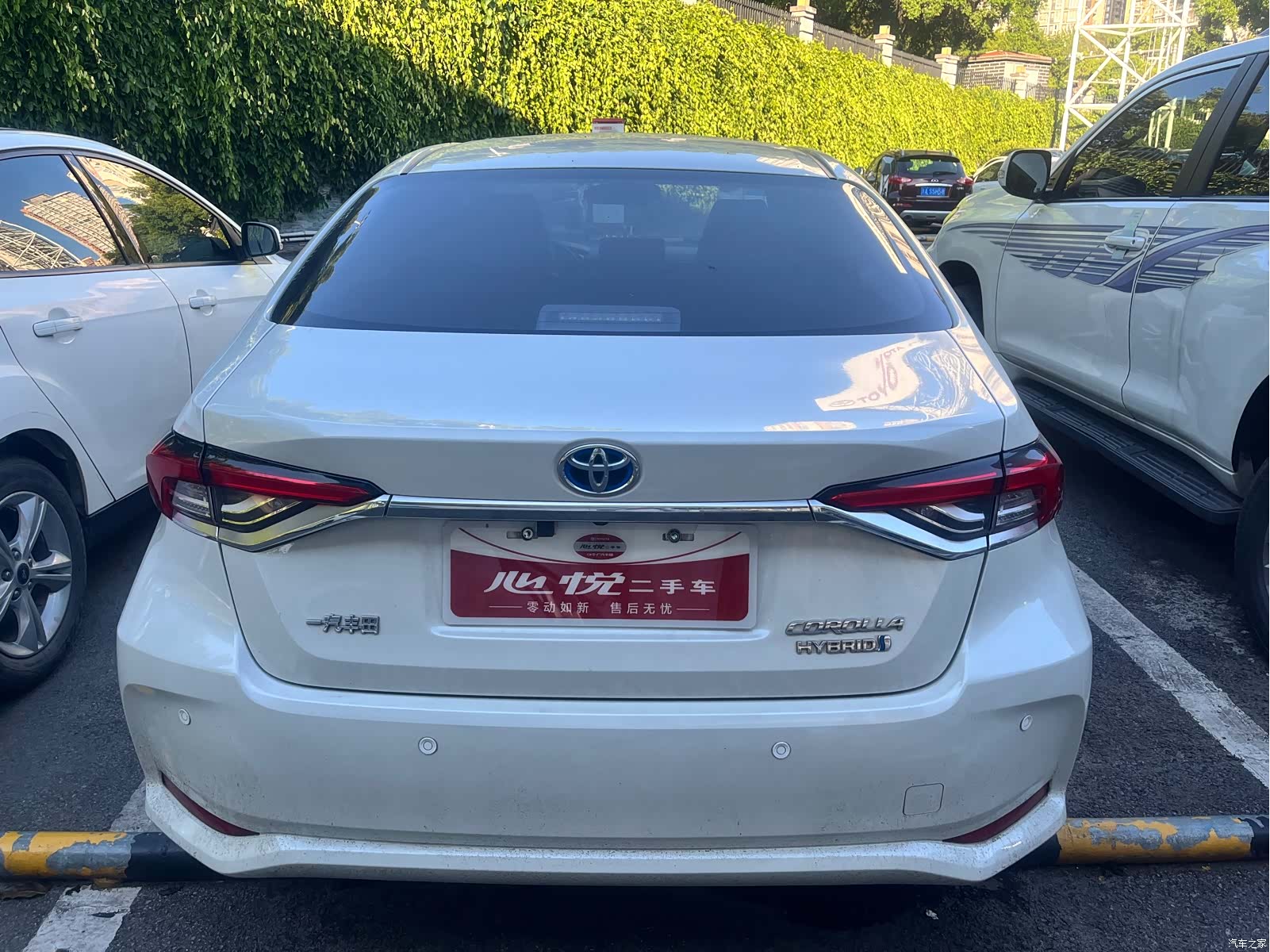 Toyota Corolla, 2019 все фото