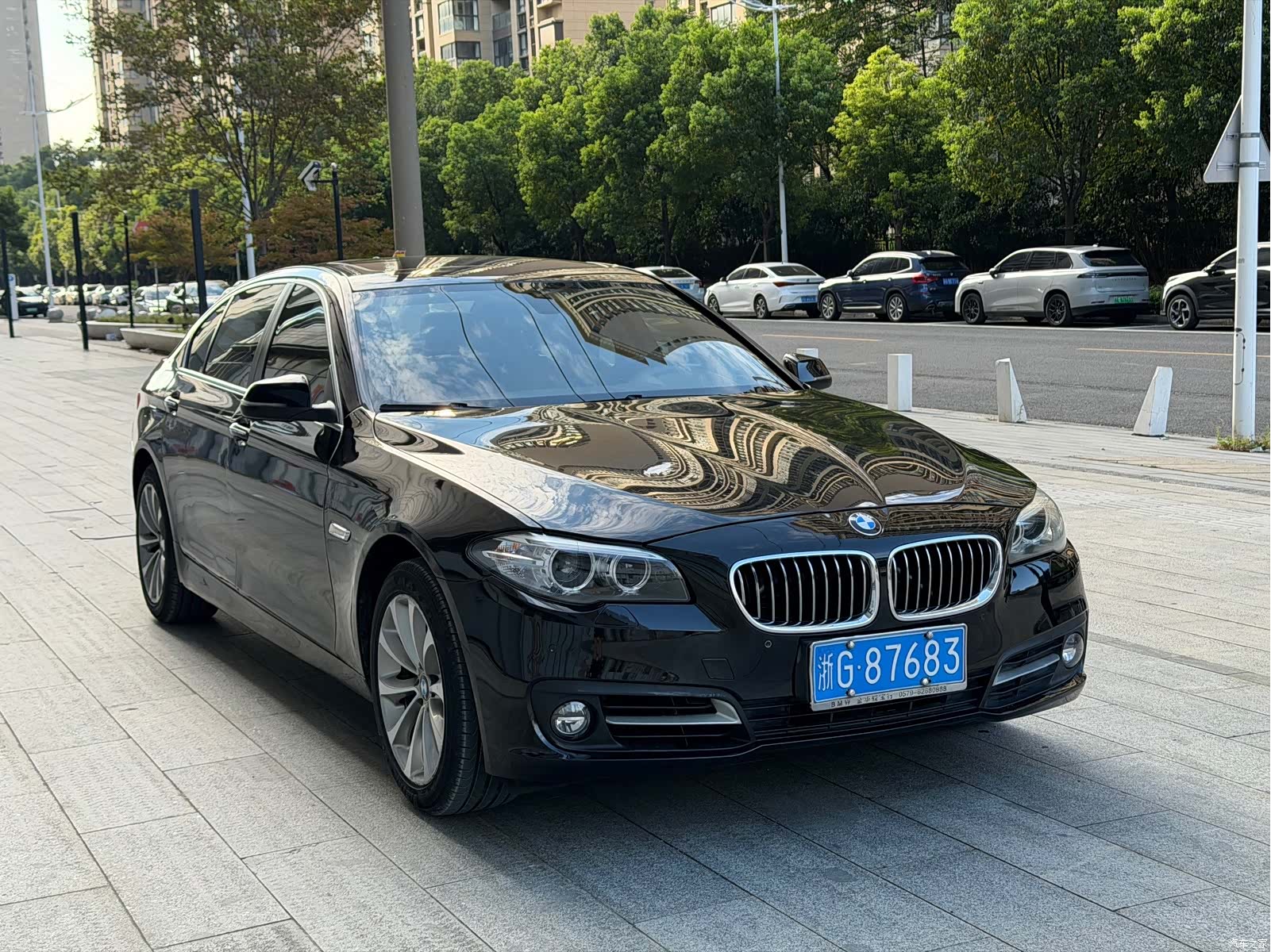 BMW 5 Series, 2017 3
