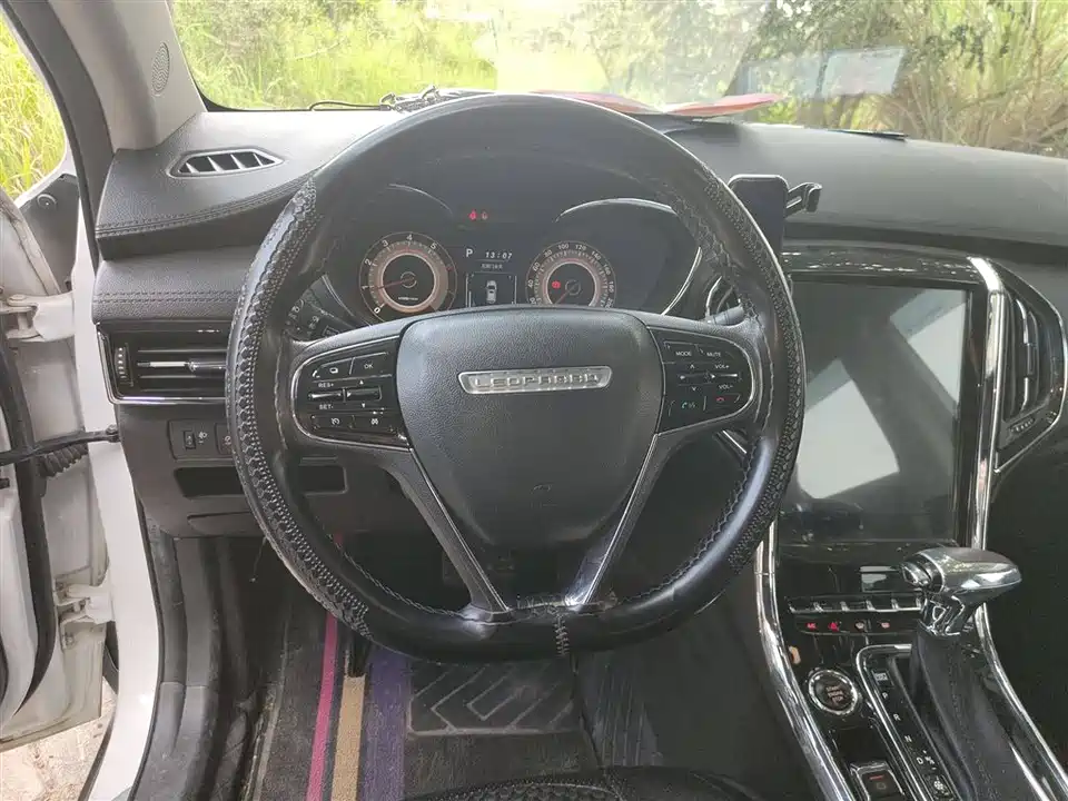 Leopaard Cheetah CS9