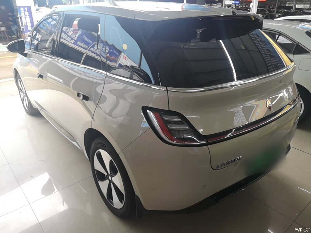 Wuling 460, 2024 все фото