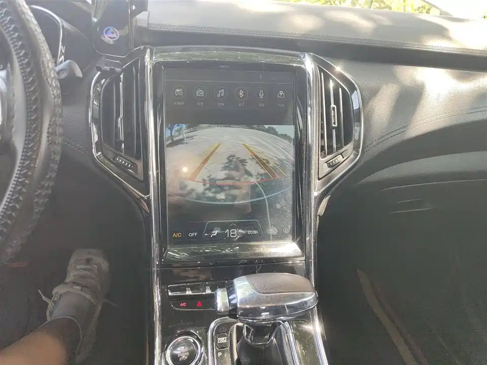 Leopaard Cheetah CS9