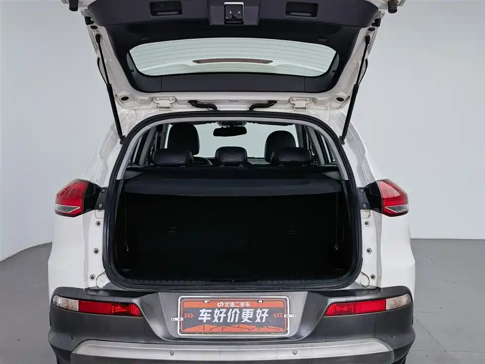 Leopaard Cheetah CS10