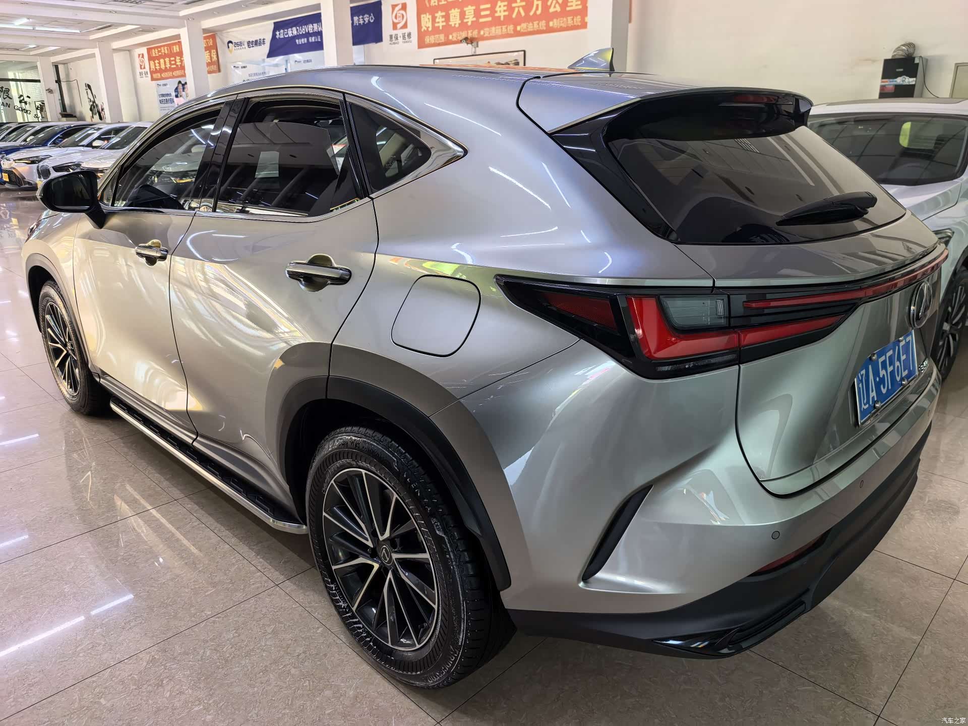 Lexus NX, 2023 все фото