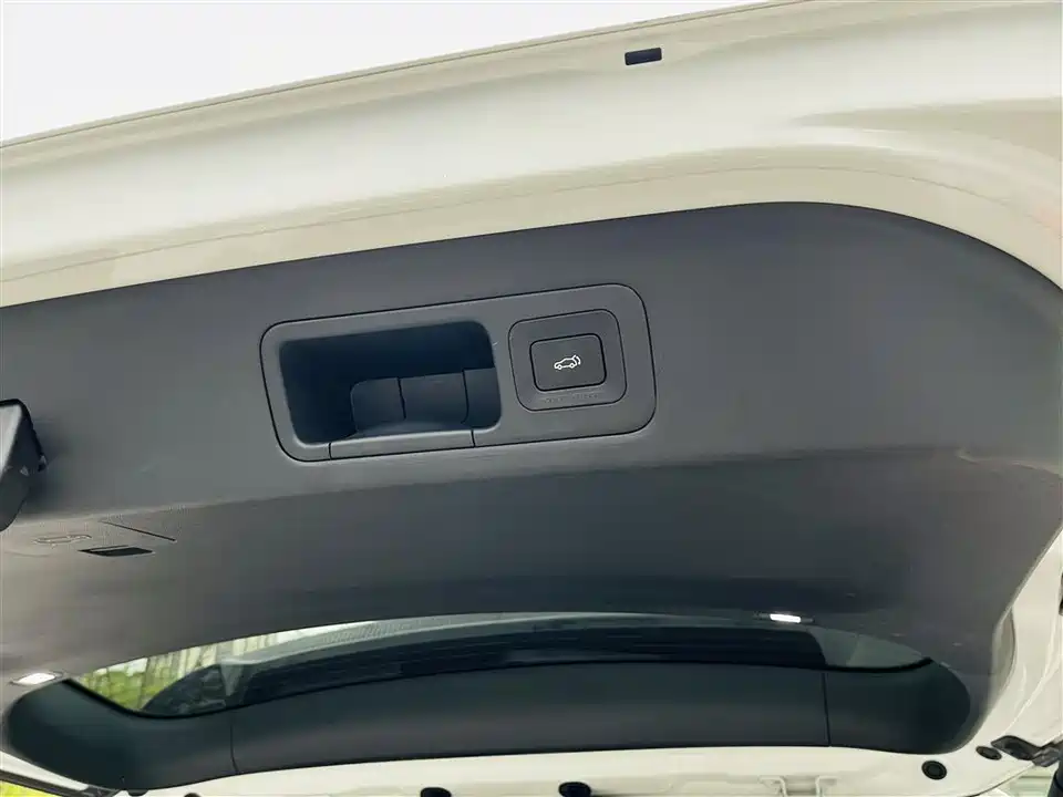 Trumpchi Trumpchi E9