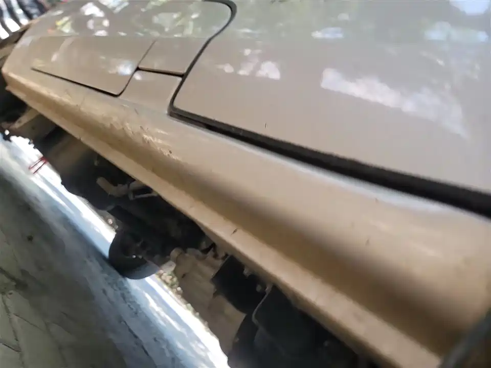 Jinbei Little Sea Lion X30