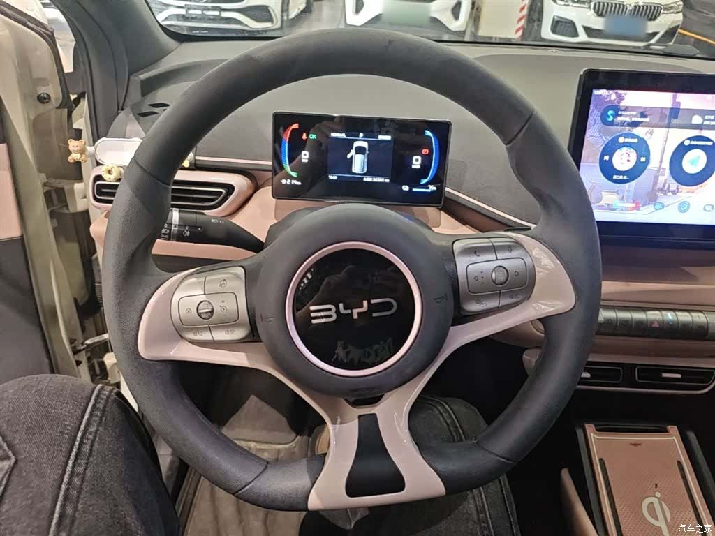 BYD Seagull, 2024 10