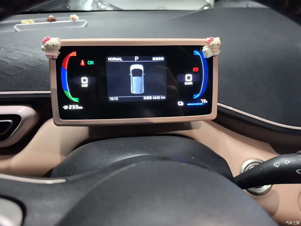 BYD Seagull, 2024 7