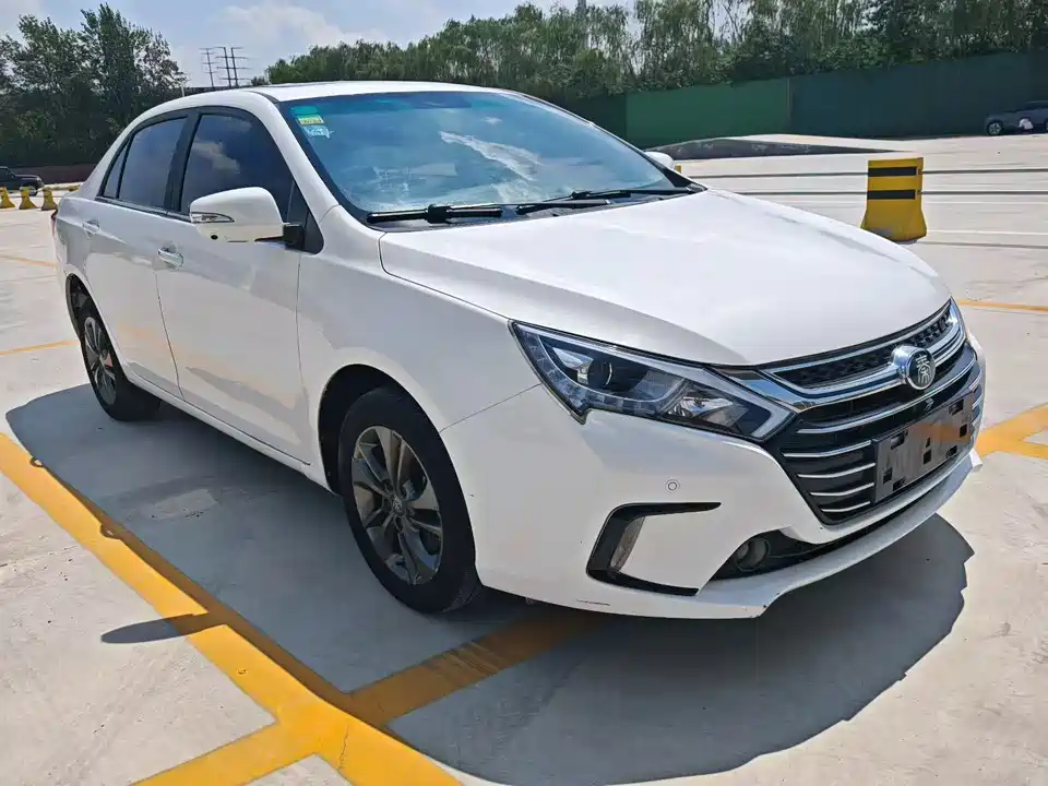 BYD Qinxin Energy