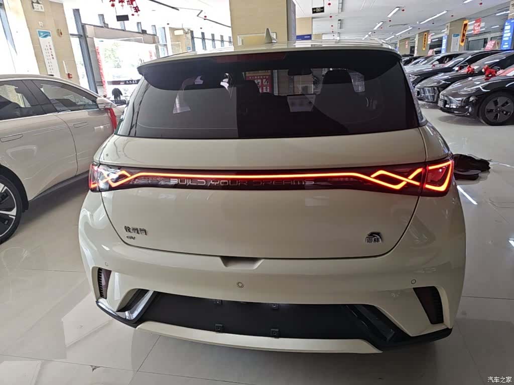 BYD Dolphin, 2023 6