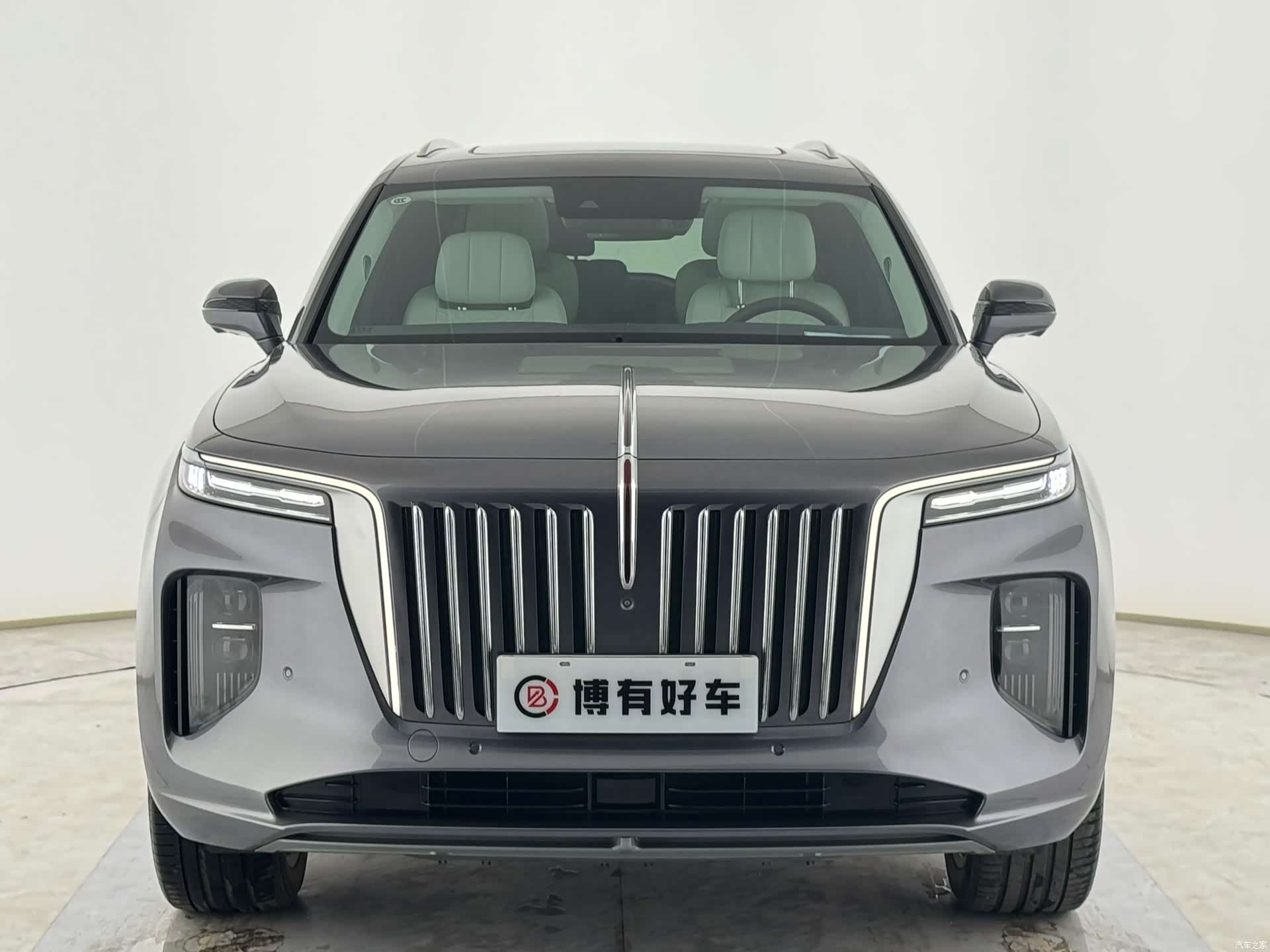 Hongqi E-HS9, 2023 все фото