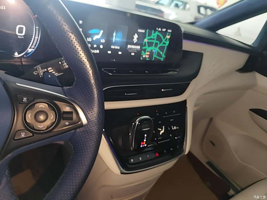 Buick GL8, 2020 13