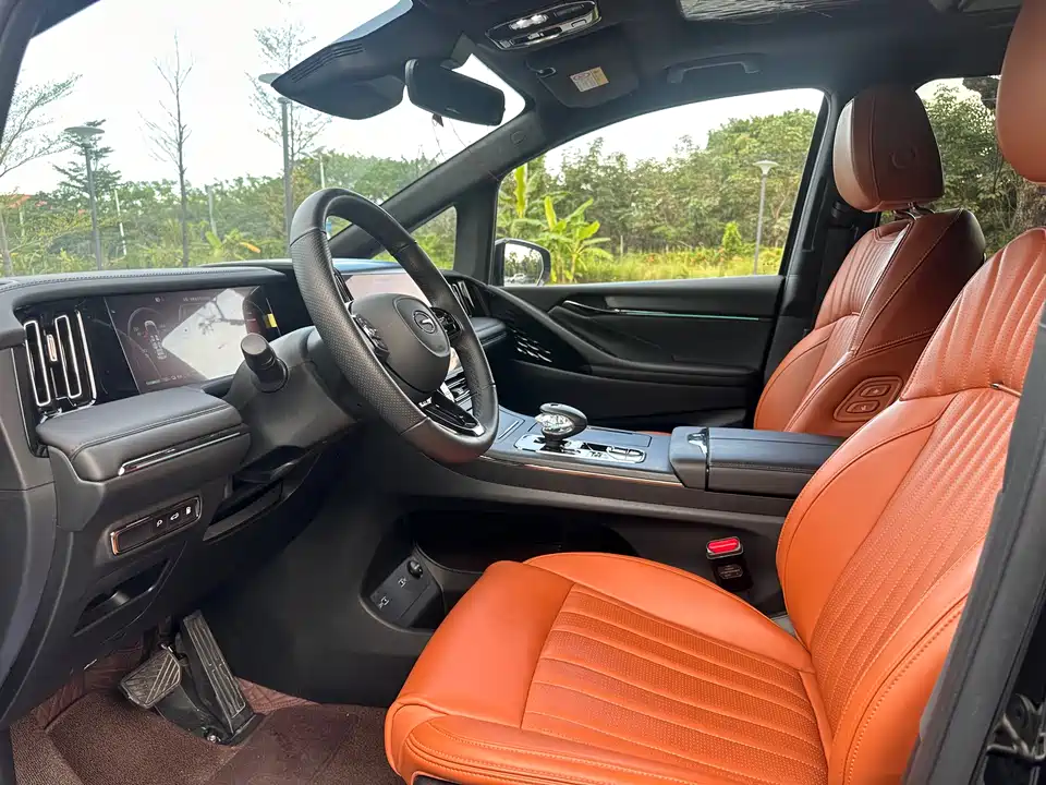 Trumpchi Trumpchi E9