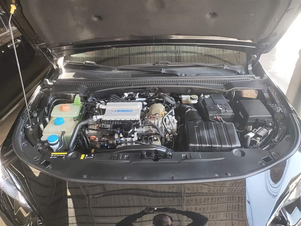 Trumpchi Shadow Leopard