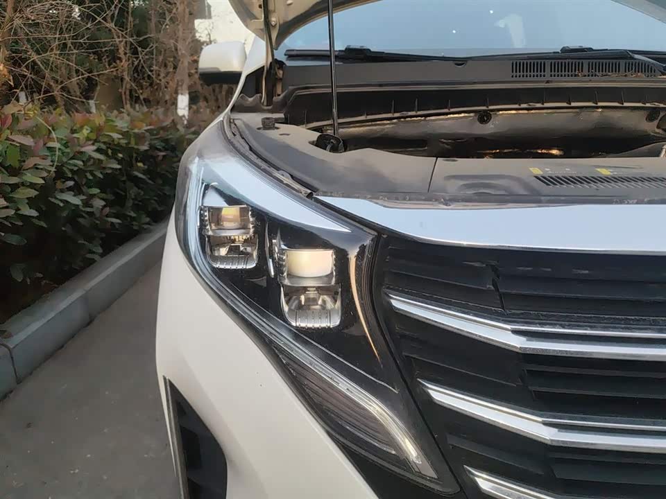 Trumpchi Trumpchi M8