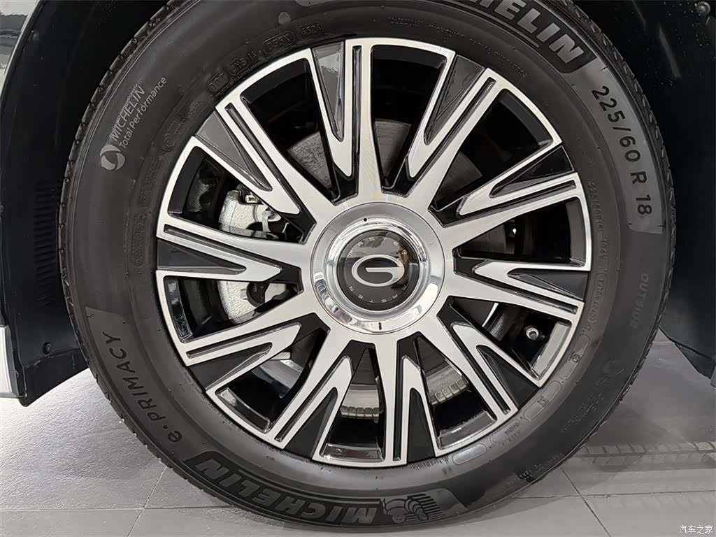 Trumpchi E9, 2026 14
