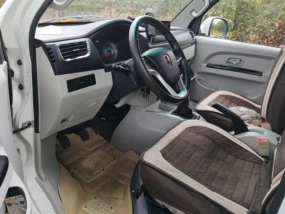 Jinbei New Sea Lion S