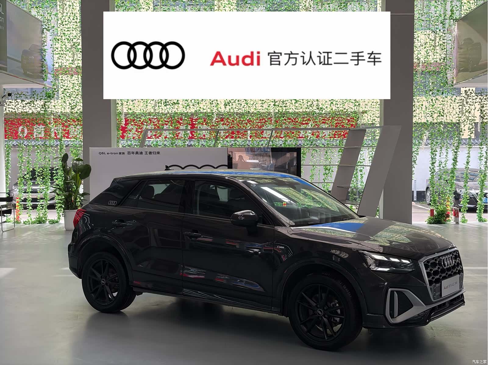 Audi Q2L, 2025 2