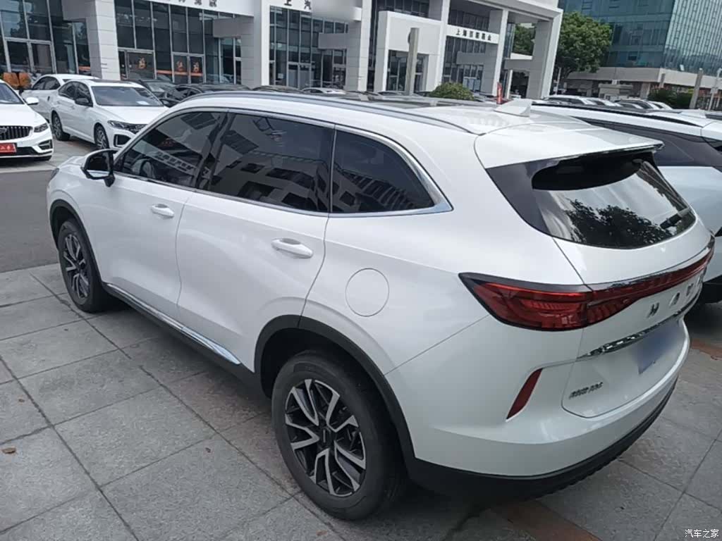 Haval H6, 2022 все фото
