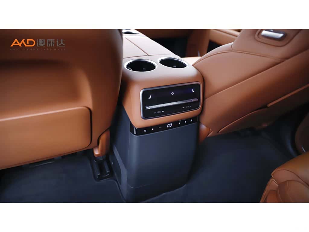 Li Auto L9, 2023 10