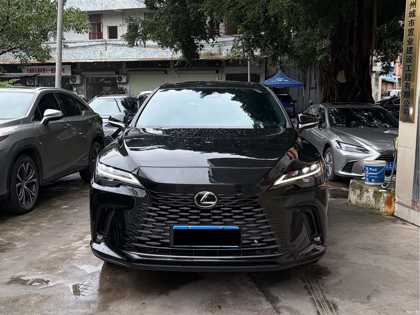 Lexus RX, 2024 2