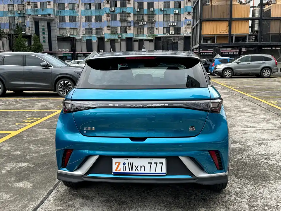 BYD dolphin