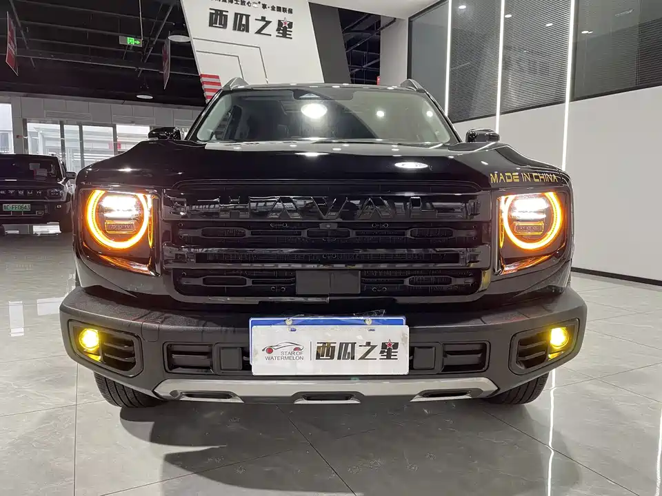 Haval Big dog