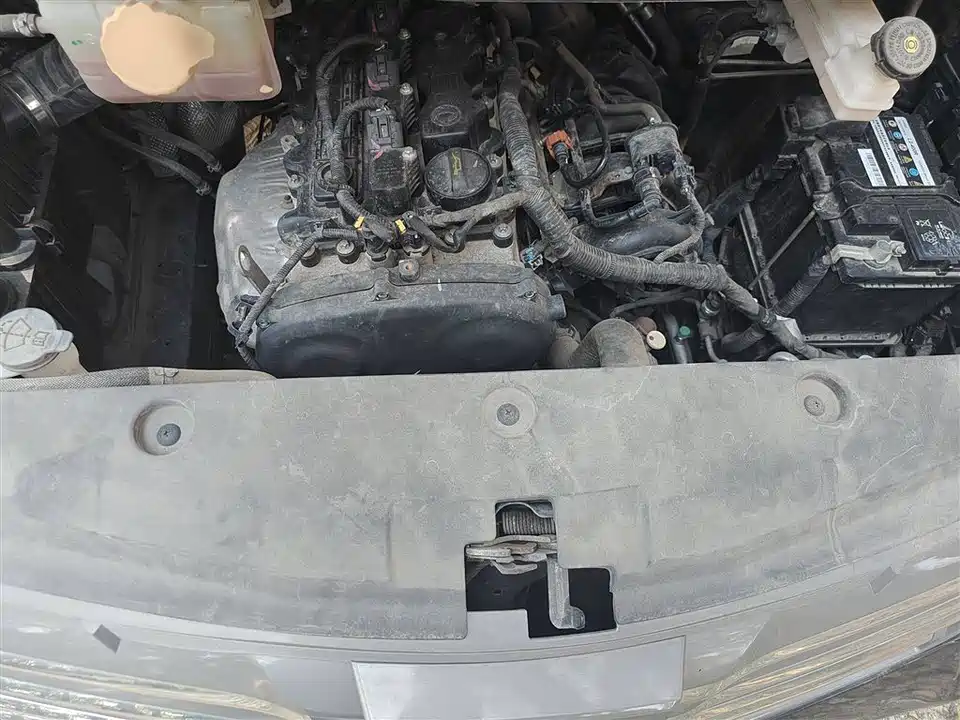 Forthing Lingzhi PLUS