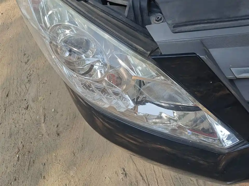 Forthing Lingzhi PLUS