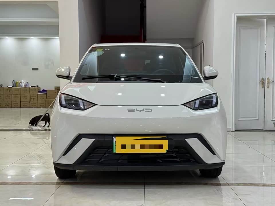 BYD Seagull