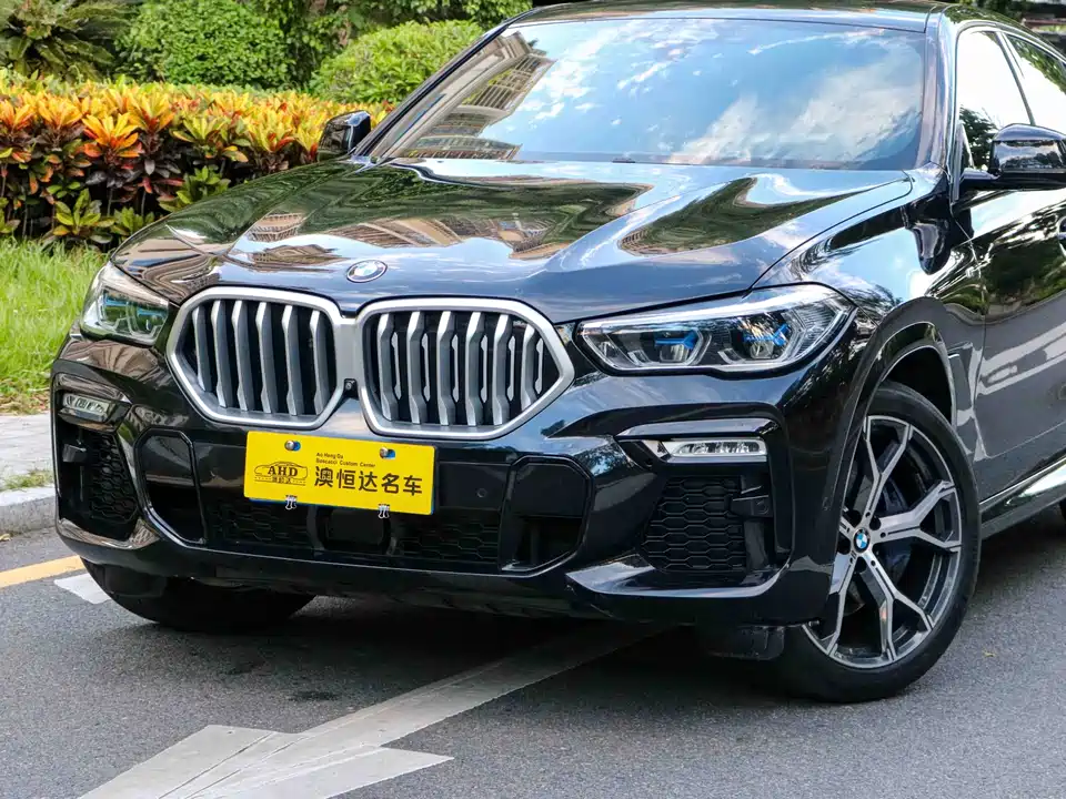 BMW X6