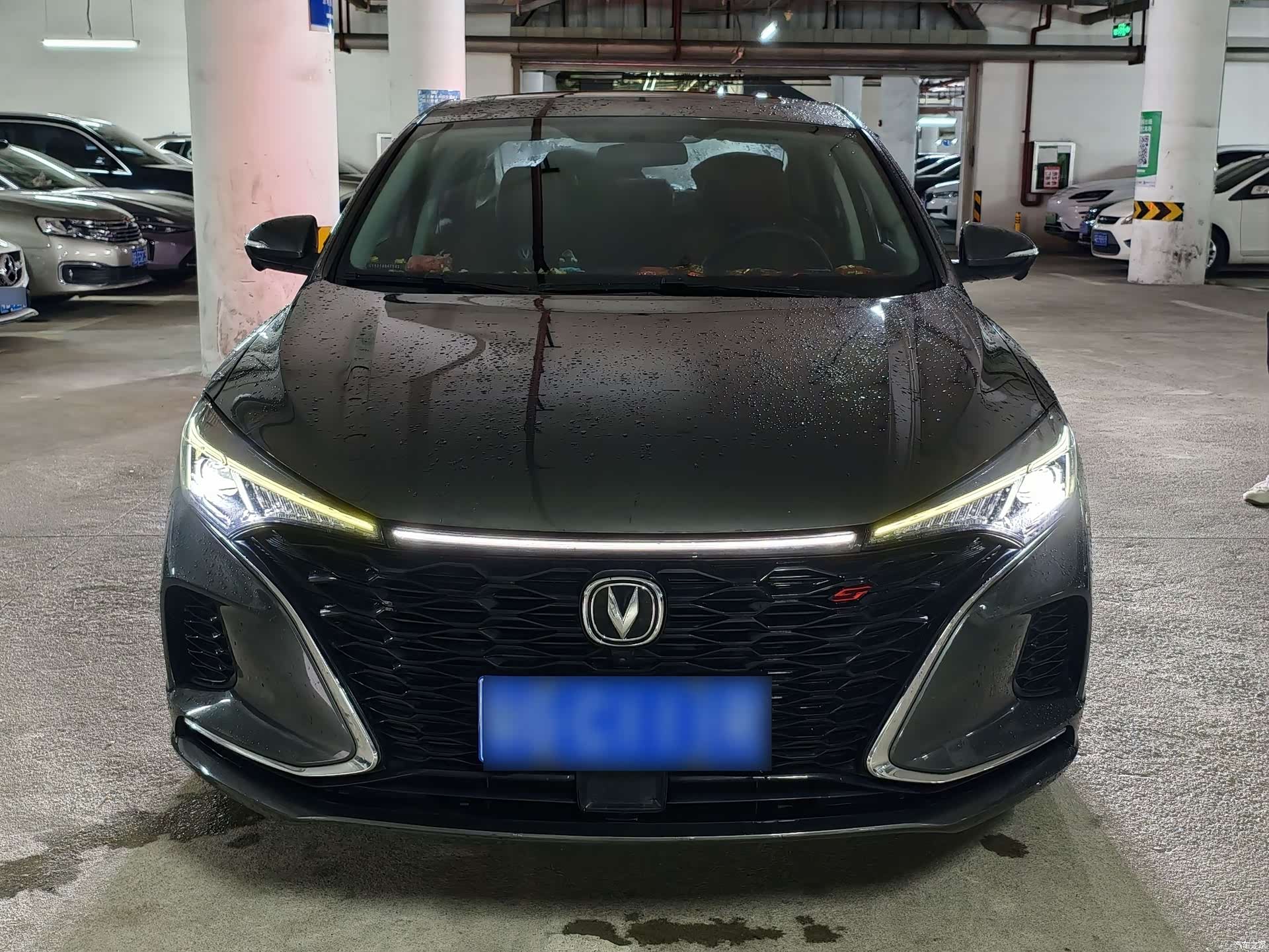 Changan Eado, 2021 2