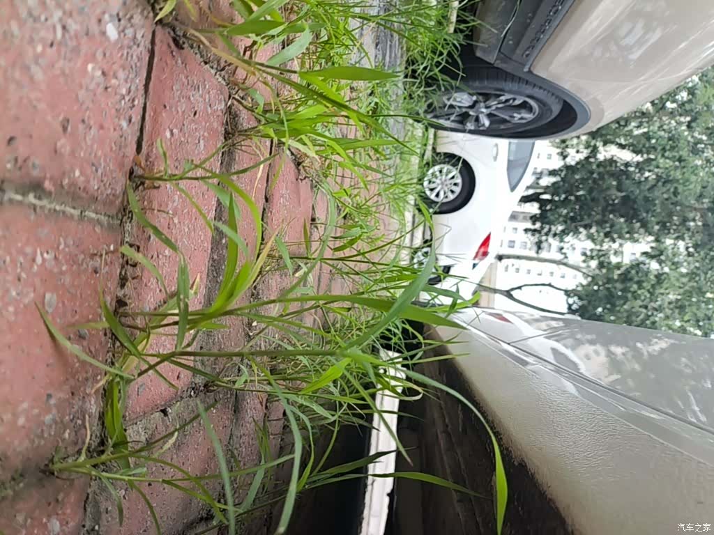 Buick GL6, 2018 22