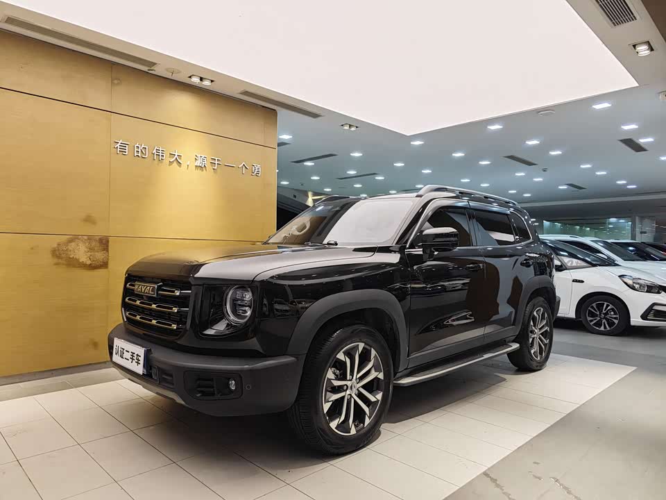 Haval Big dog