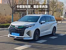 ����SIENNA 2024�� 2.5L�춯 ���ʰ�