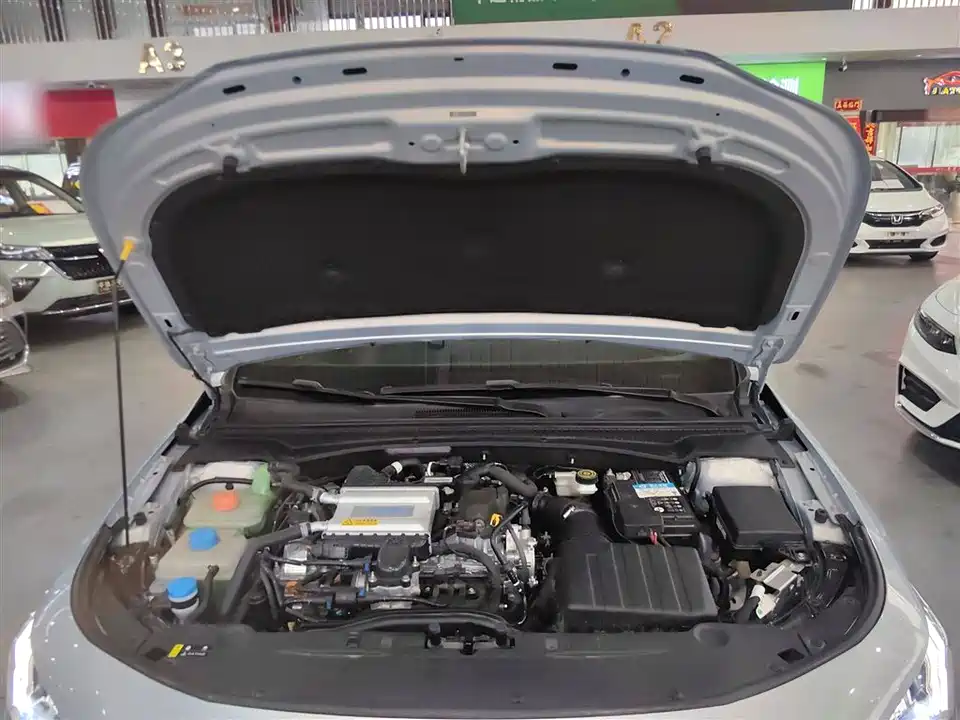 Trumpchi Shadow Leopard