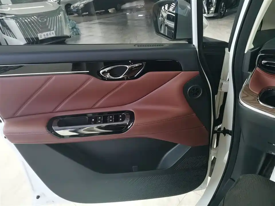 Trumpchi Trumpchi E8