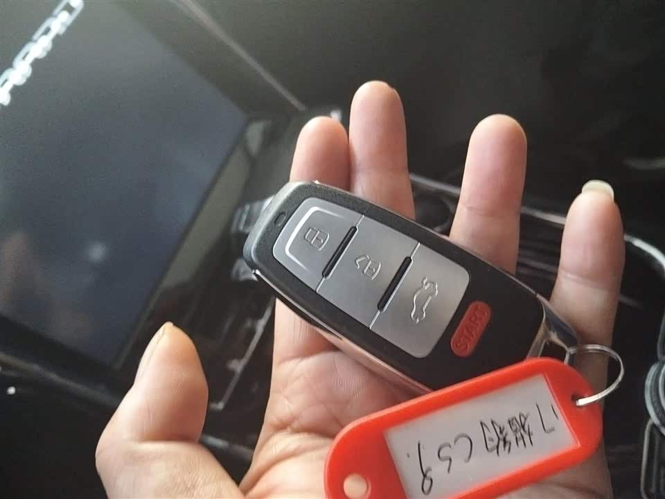 Leopaard Cheetah CS9