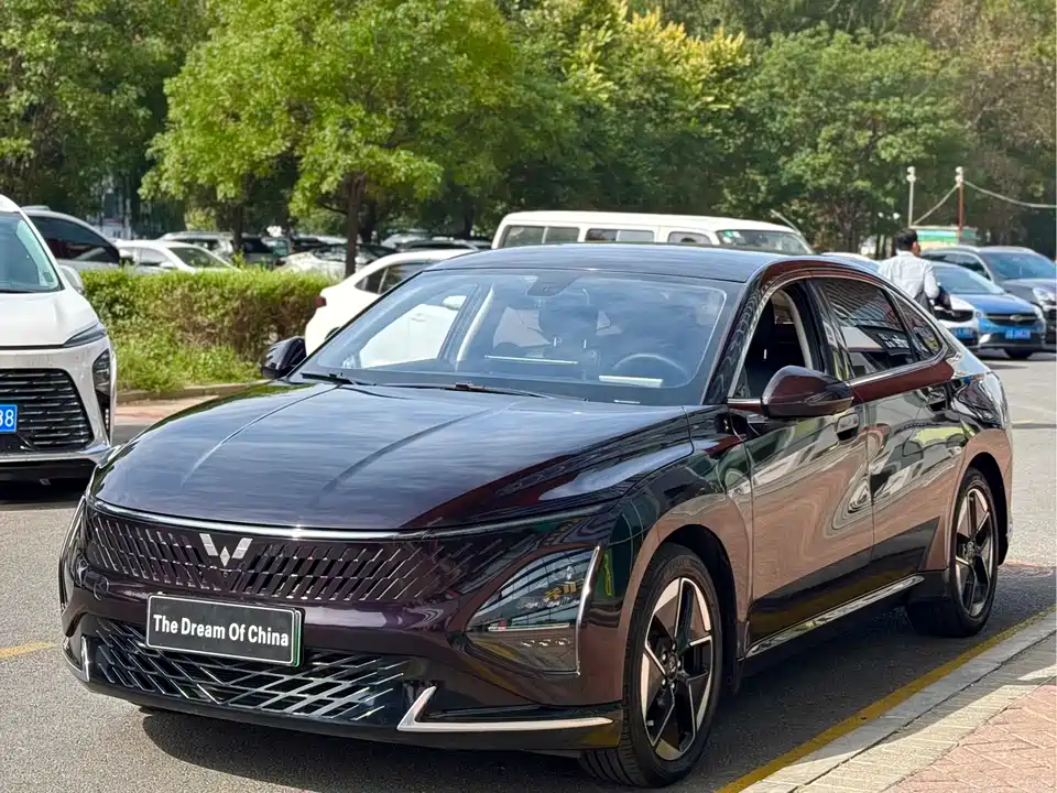 Wuling Wuling Starlight