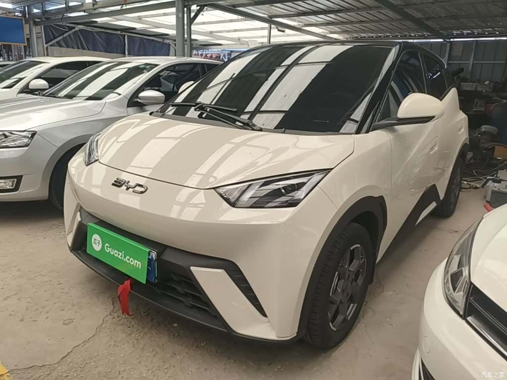 BYD Seagull, 2024 2