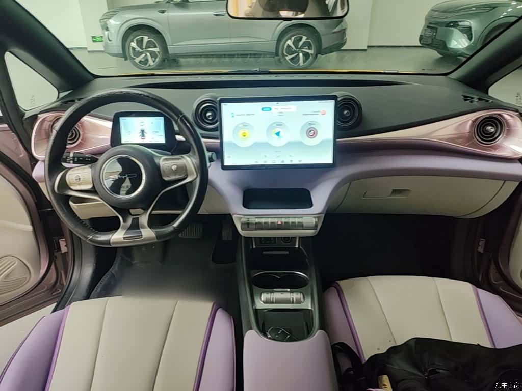 BYD Dolphin, 2023 10