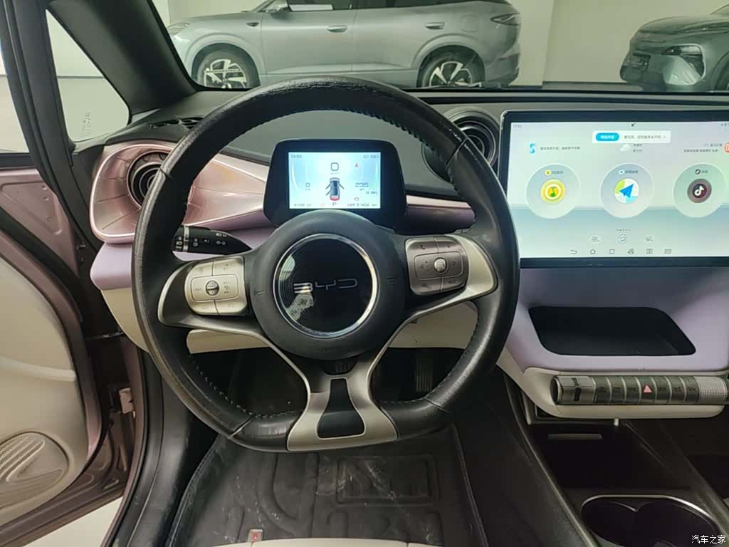 BYD Dolphin, 2023 11