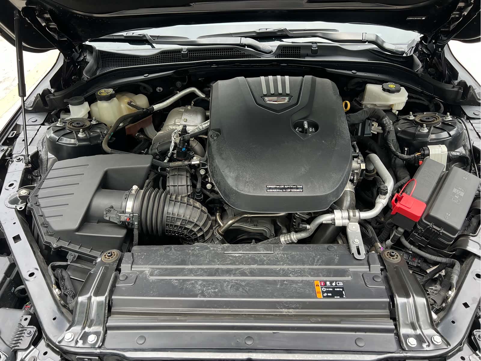 Cadillac CT4, 2023 все фото