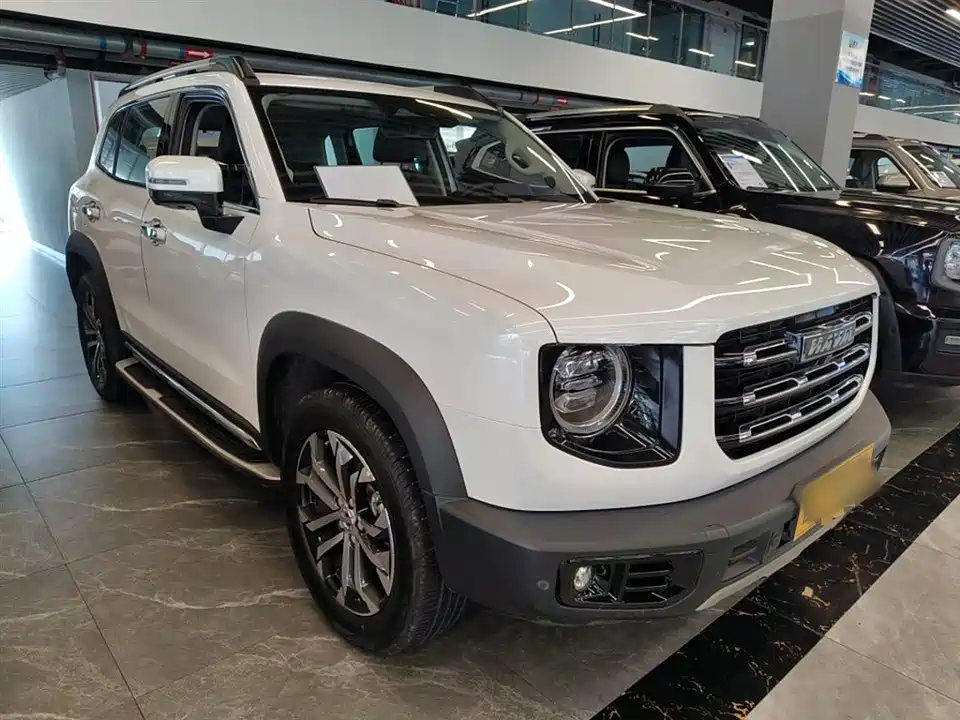 Haval Big dog