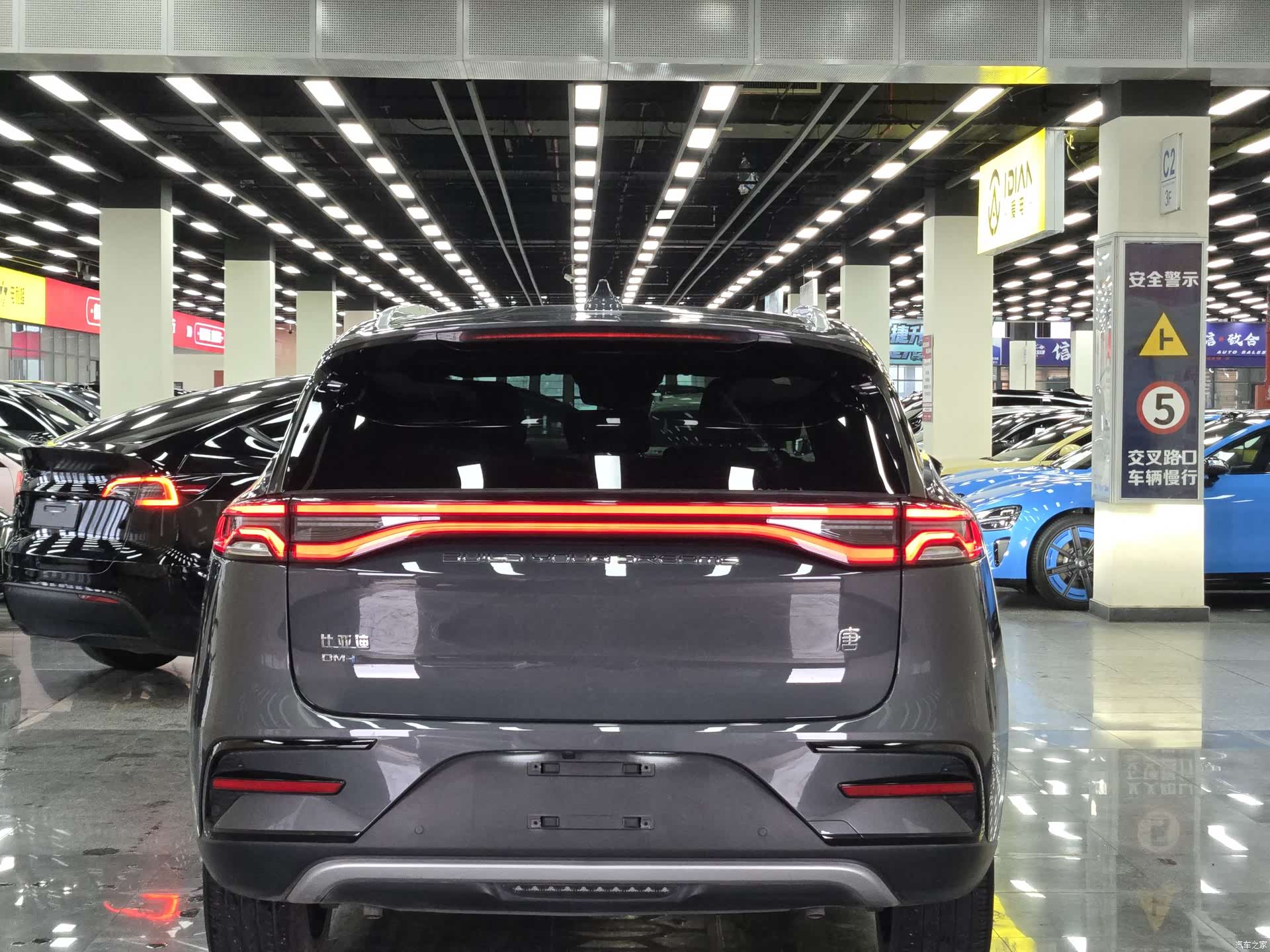 BYD Tang, 2022 все фото