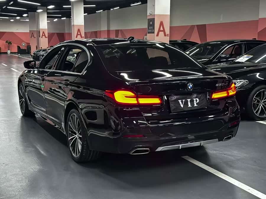 BMW 5 Series 2021, фото 9
