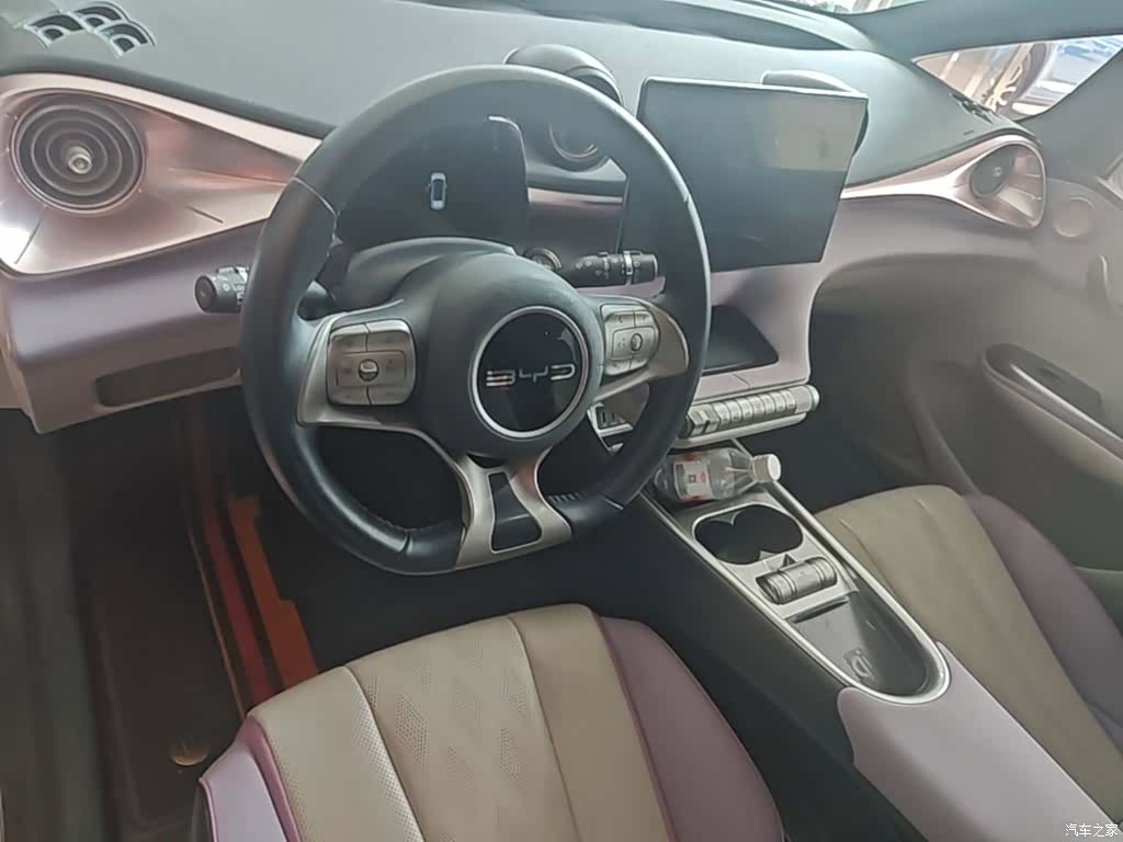 BYD Dolphin, 2023 10
