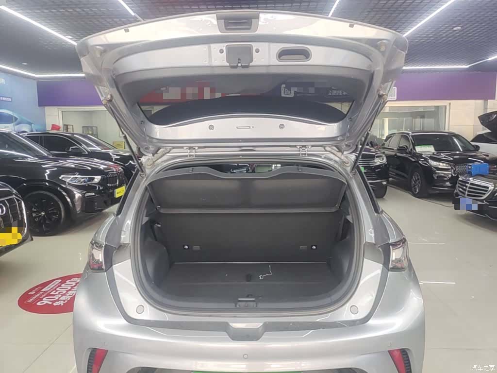 BYD Dolphin, 2024 19